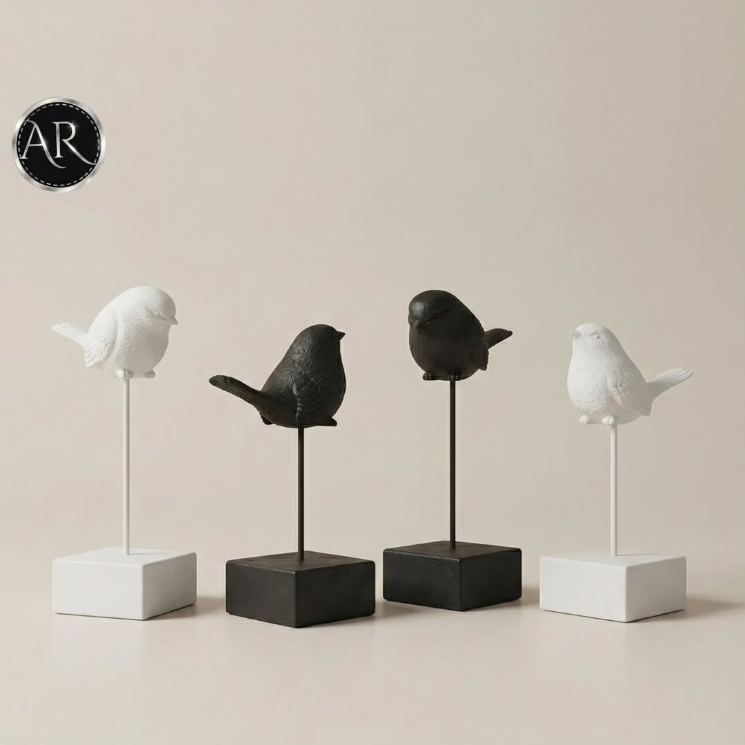 Black and White Birds